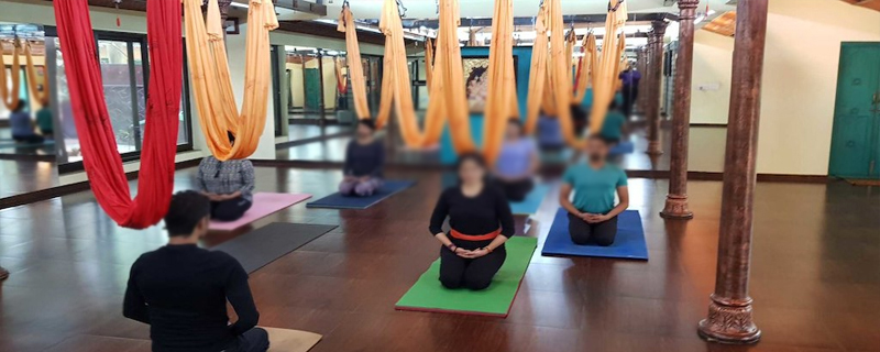 Shri Krishna Wellness, Yoga & Cultural Centre 